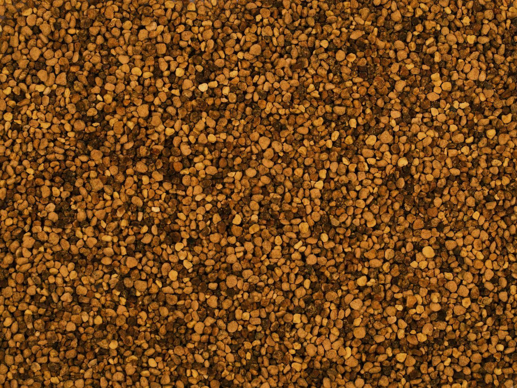 Close-up overhead view of golden-amber bee pollen granules filling the frame, dried pellets in soft natural light
