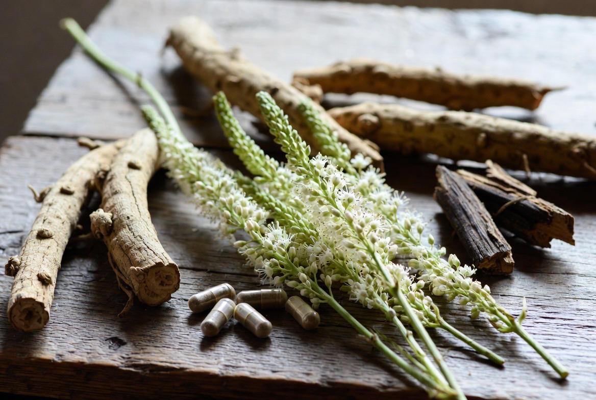 Tall white flower spikes of the black cohosh plant (Actaea racemosa) beside a small pile of dried black cohosh root and herbal supplement capsules on a slate surface